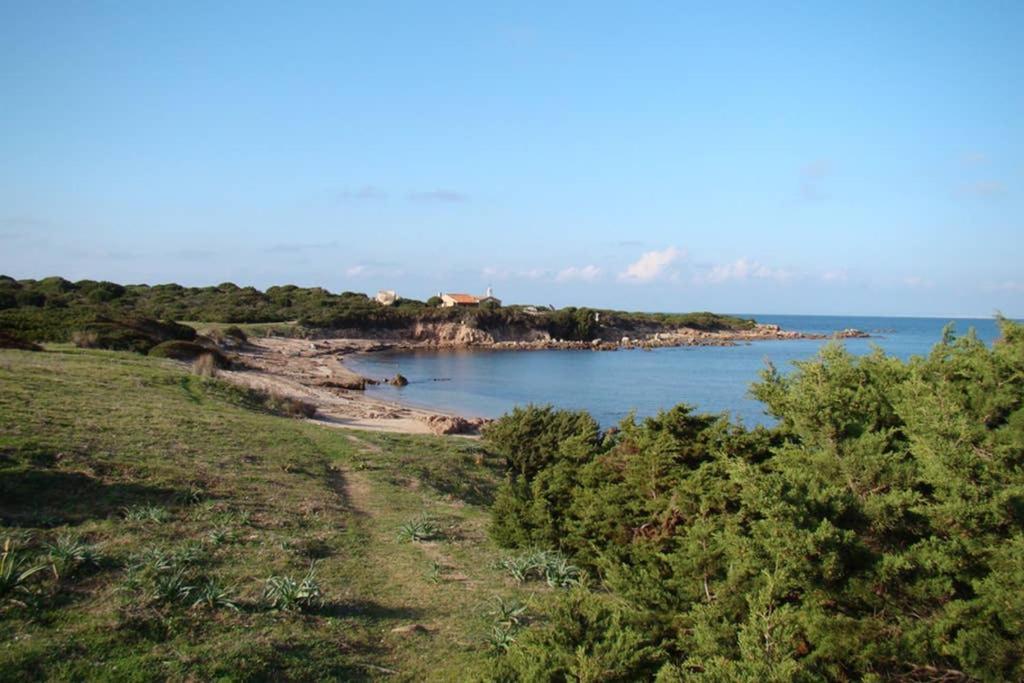 Bella Casa Con Giardino A 10 Minuti Dal Mare Daire Aglientu Dış mekan fotoğraf