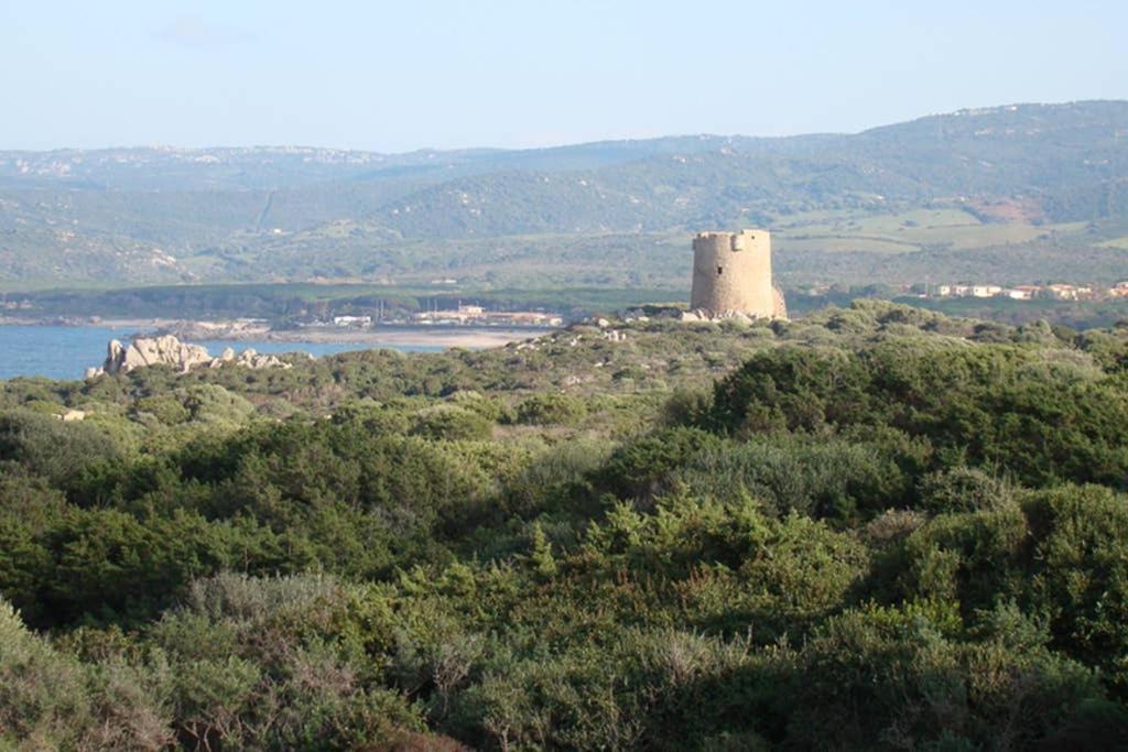 Bella Casa Con Giardino A 10 Minuti Dal Mare Daire Aglientu Dış mekan fotoğraf